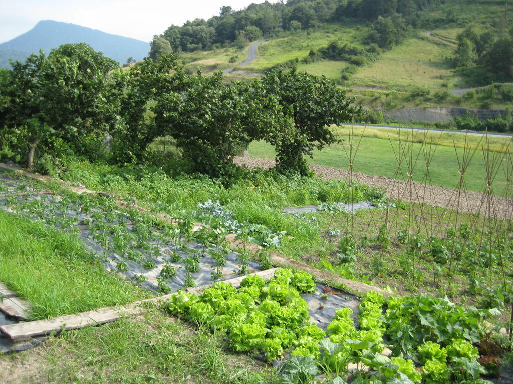 Llanteno Casa Rural Garabilla מראה חיצוני תמונה